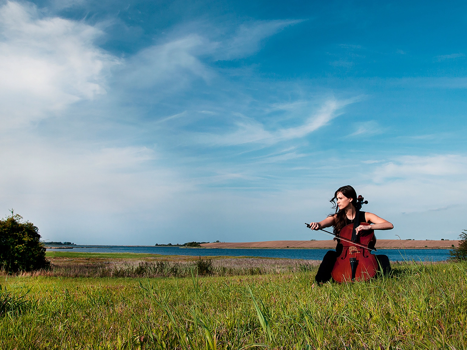 Impression der Festspiele Mecklenburg-Vorpommern – eine Cellistin spielt auf einem sommerlichen Feld.